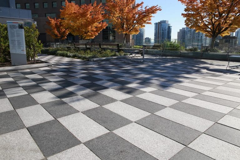 Vancouver-Public-Library-Rooftop_4086-min-768x512